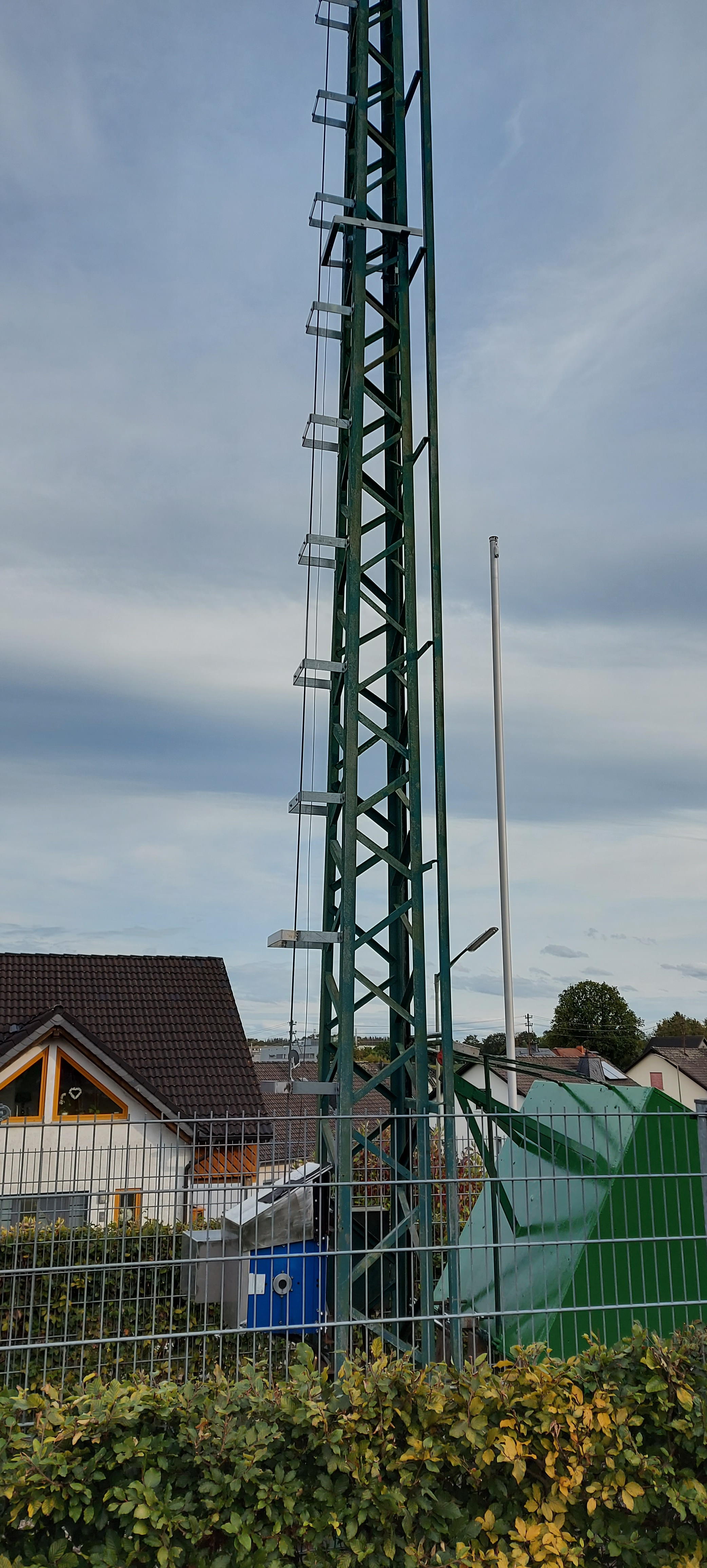 VogelHochstand1